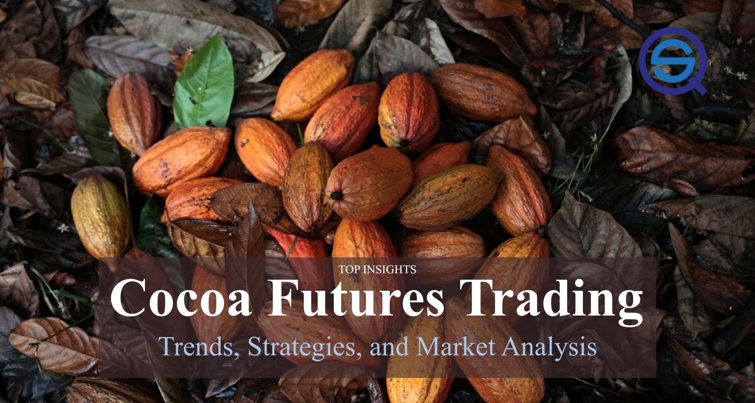 Cocoa Futures Trading, shows harvested cocoa pods resting on dry autumn leaves.