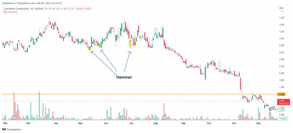 A technical candlestick chart illustrating how to identify a Hammer pattern. Three yellow circles and blue arrows highlight specific Hammer candles within a price trend.