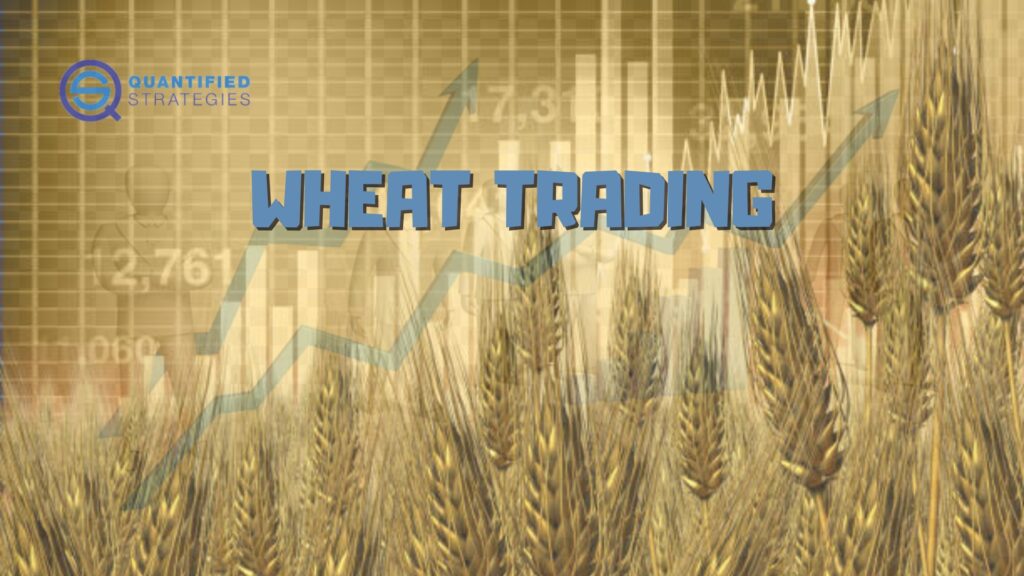 A field of golden wheat sits before financial charts for expert wheat trading analysis.